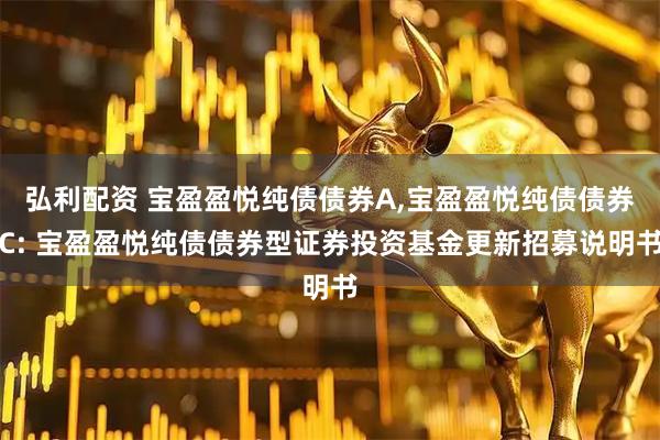 弘利配资 宝盈盈悦纯债债券A,宝盈盈悦纯债债券C: 宝盈盈悦纯债债券型证券投资基金更新招募说明书