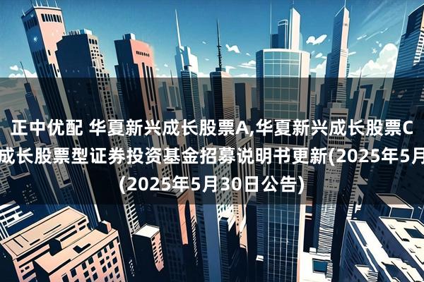 正中优配 华夏新兴成长股票A,华夏新兴成长股票C: 华夏新兴成长股票型证券投资基金招募说明书更新(2025年5月30日公告)