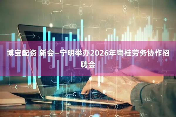 博宝配资 新会—宁明举办2026年粤桂劳务协作招聘会
